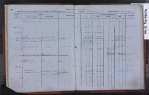 Rourkes of Ballintur--1793 to 1901