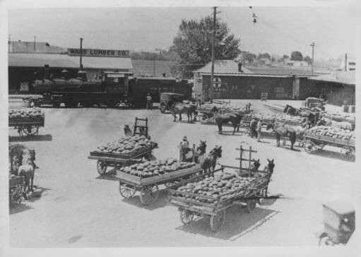 farmers with horse drawn carts of melons wait at the Hughson, California, train depot in either 1915 or 1916